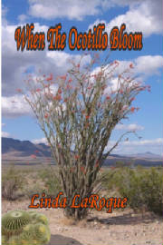when_the_ocotillo_bloom___cover.jpg